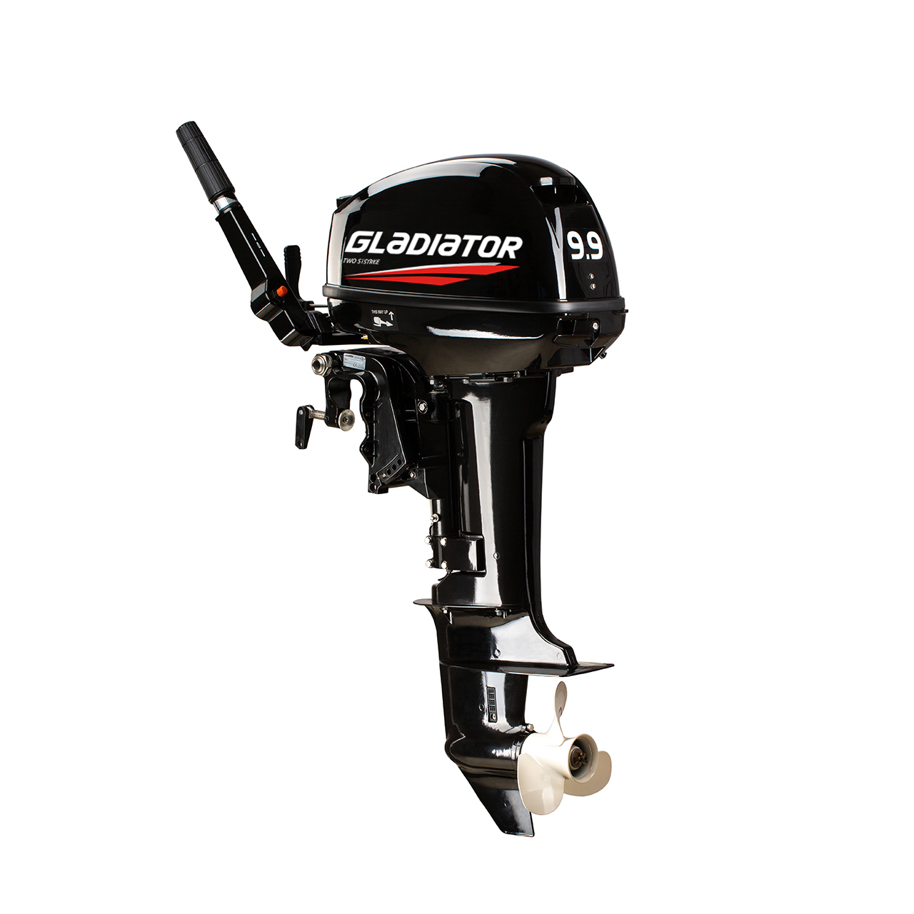 ЛОДОЧНЫЙ МОТОР GLADIATOR G9.9FHS в Грозном