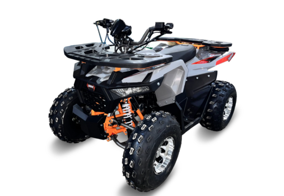 Квадроцикл GBM DAXTER 220 NEW PREMIUM в Грозном