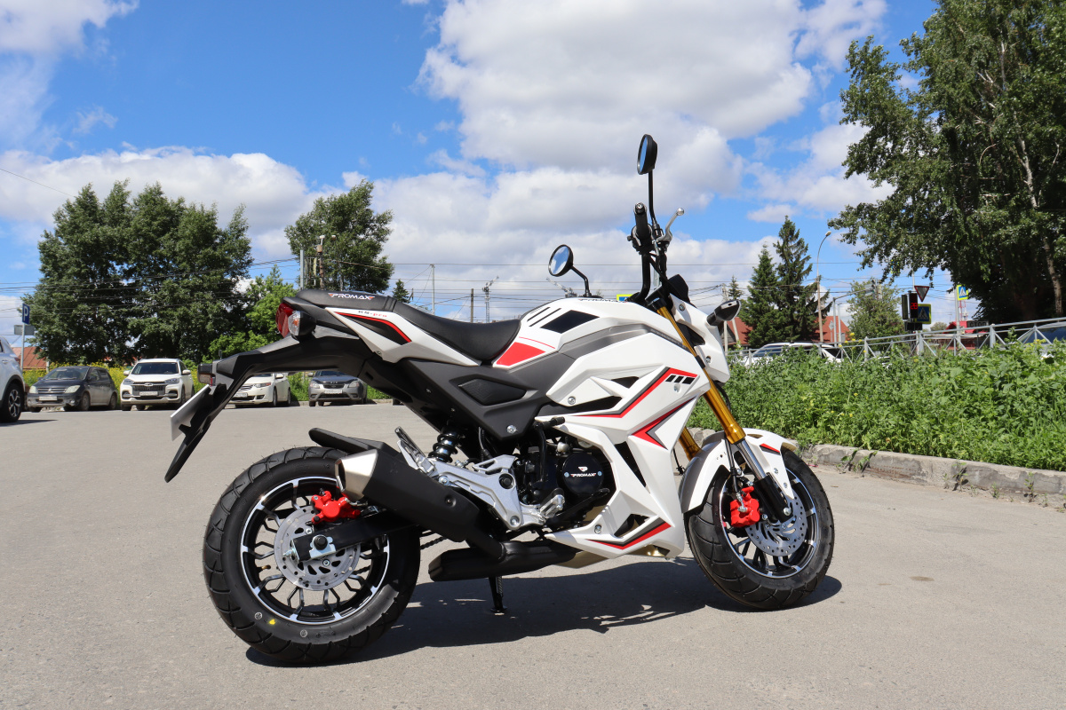 Мотоцикл PROMAX STRYKER 200(49) 2.0 в Грозном