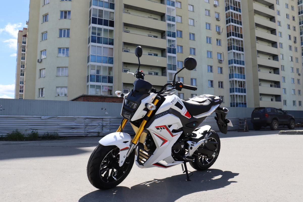 Мотоцикл PROMAX STRYKER 200(49) 2.0 в Грозном