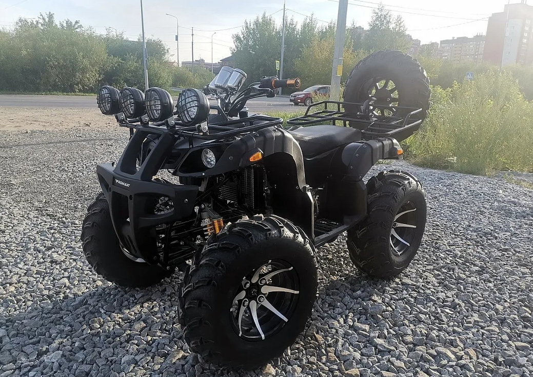 Квадроцикл PROMAX LEO 300 Max (кардан) в Грозном