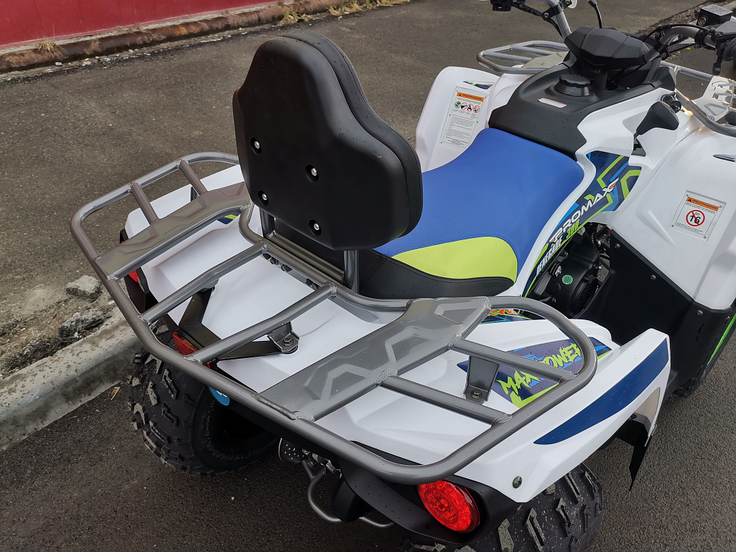 Квадроцикл PROMAX RENEGADE 280 LUX (2025) в Грозном