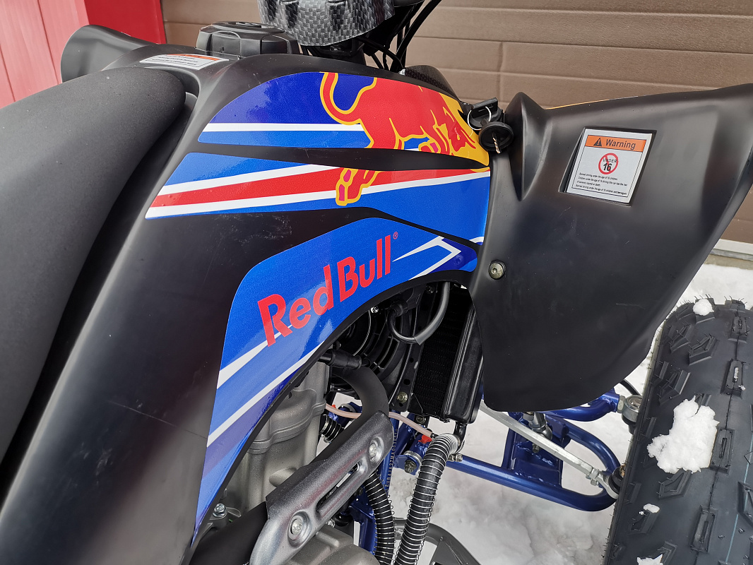 Квадроцикл PROMAX RAPTOR 300 NEW RedBull в Грозном