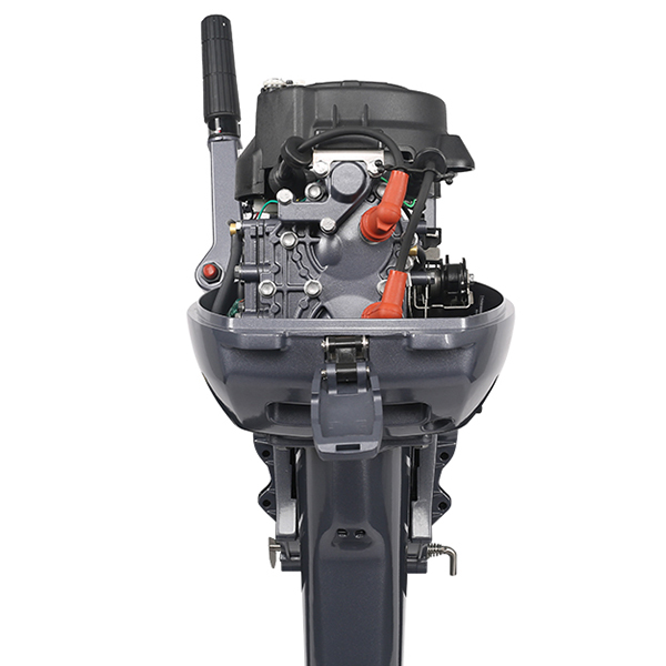 ЛОДОЧНЫЙ МОТОР ALLFA CG Т9,9 Limit в Грозном