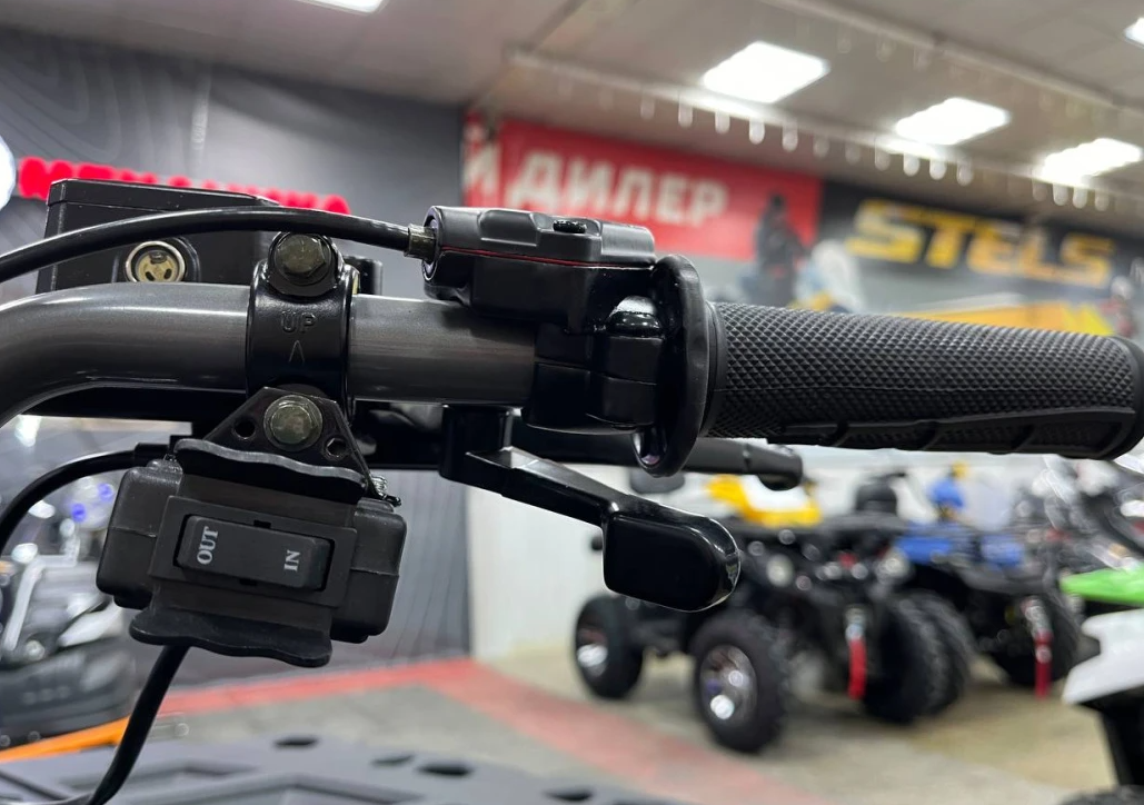 Квадроцикл PROMAX RENEGADE 300 LONG WINCH PRO (2025) в Грозном