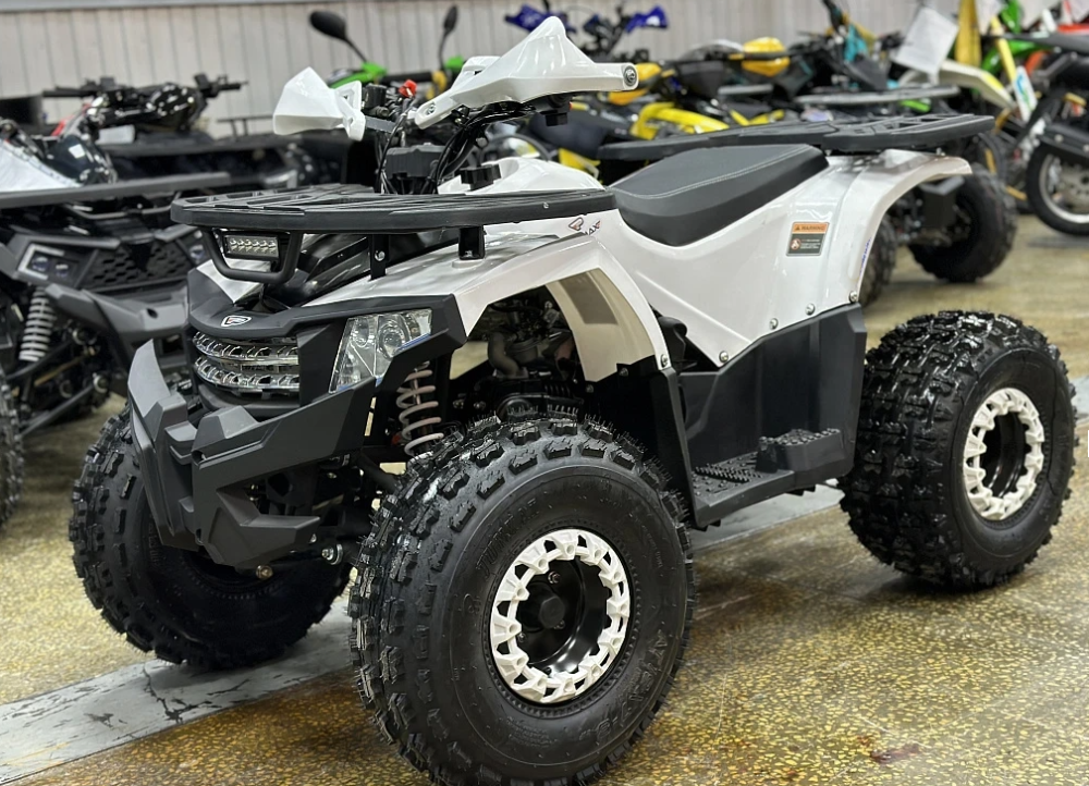 Квадроцикл PROMAX WILD 2.0 190 в Грозном