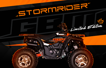 Квадроцикл GBM STORMRIDER 320 NEW LUX в Грозном