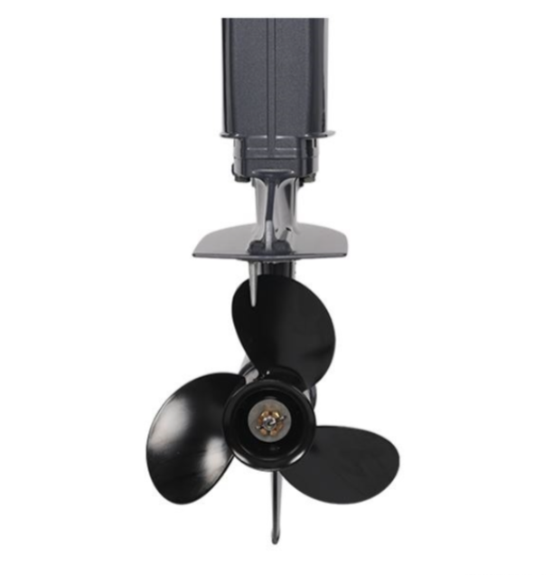 Лодочный мотор ALLFA CG Т40FW S в Грозном