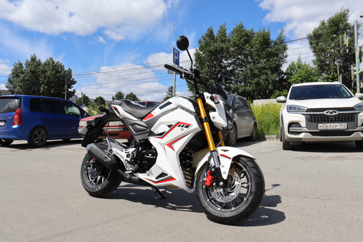 Мотоцикл PROMAX STRYKER 200(49) 2.0 в Грозном