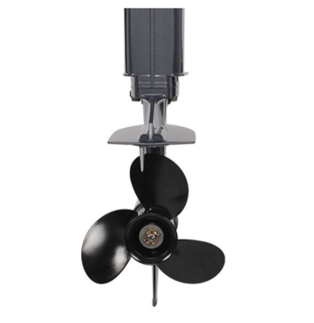 Лодочный мотор ALLFA CG Т40FWT S в Грозном