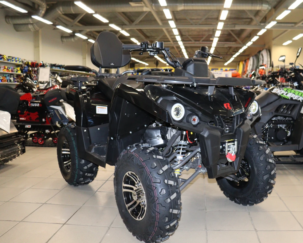 Квадроцикл PROMAX RENEGADE 300 LONG WINCH PRO (2025) в Грозном