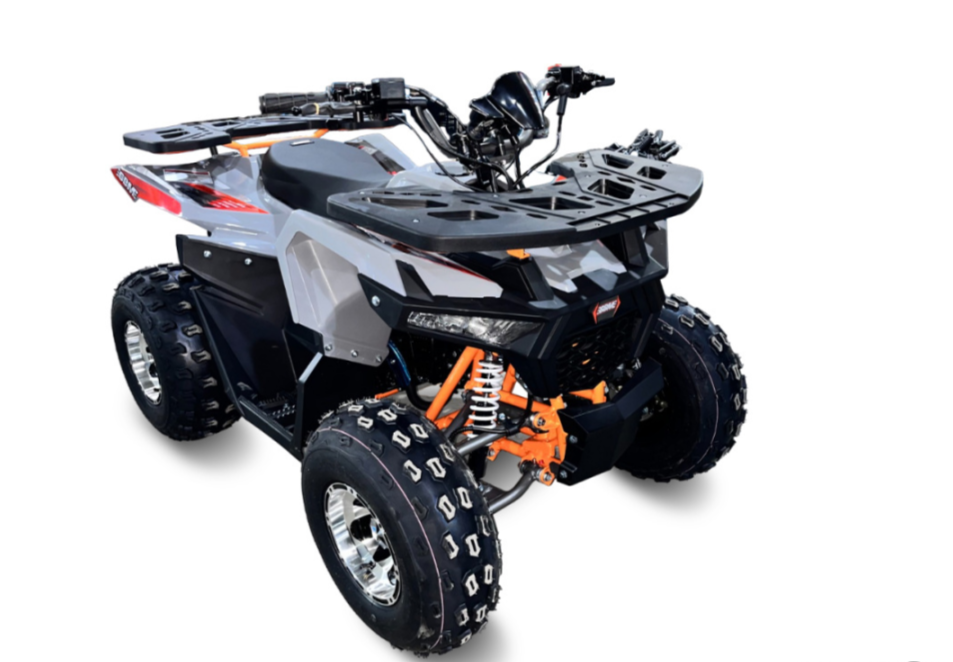 Квадроцикл GBM DAXTER 220 NEW PREMIUM в Грозном