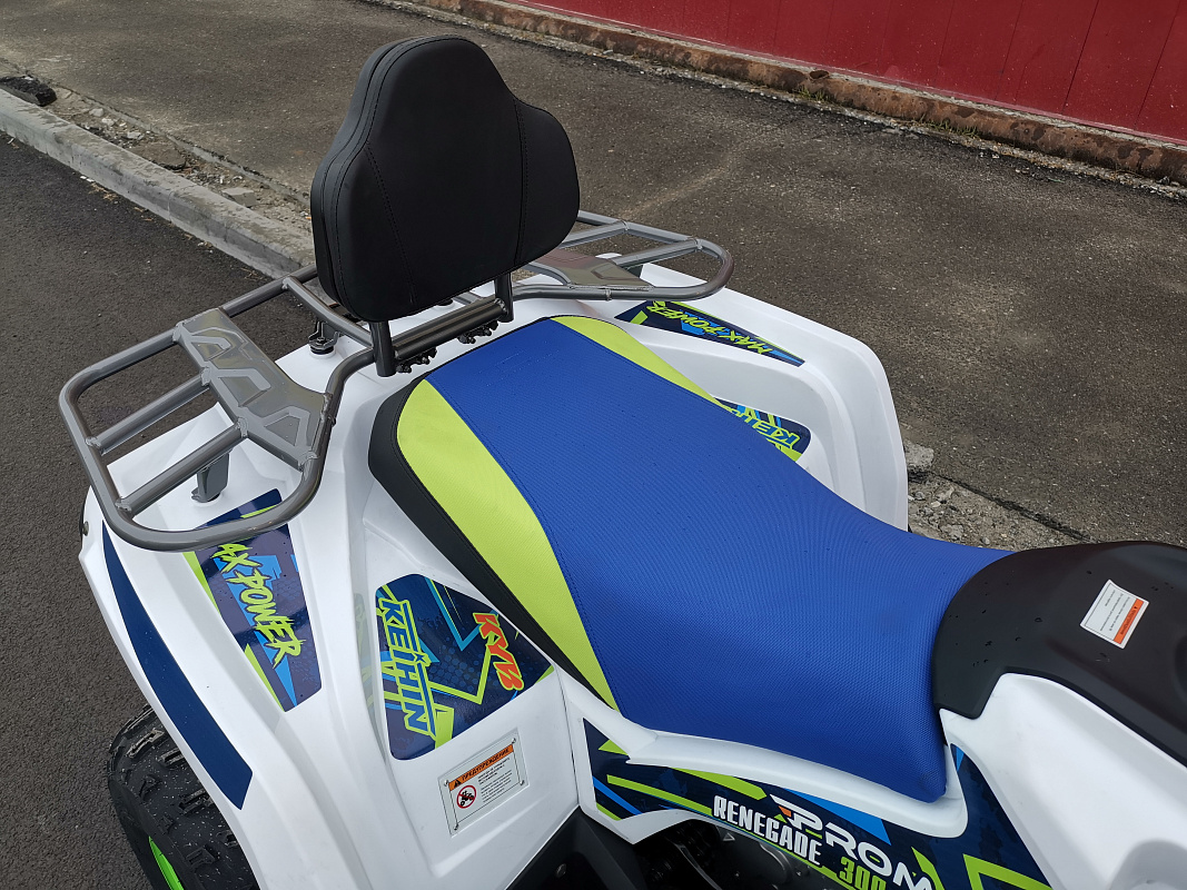 Квадроцикл PROMAX RENEGADE 280 LUX (2025) в Грозном