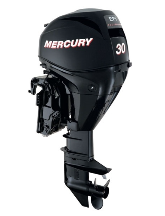 ЛОДОЧНЫЙ МОТОР MERCURY  F 30 ELH GA EFI в Грозном