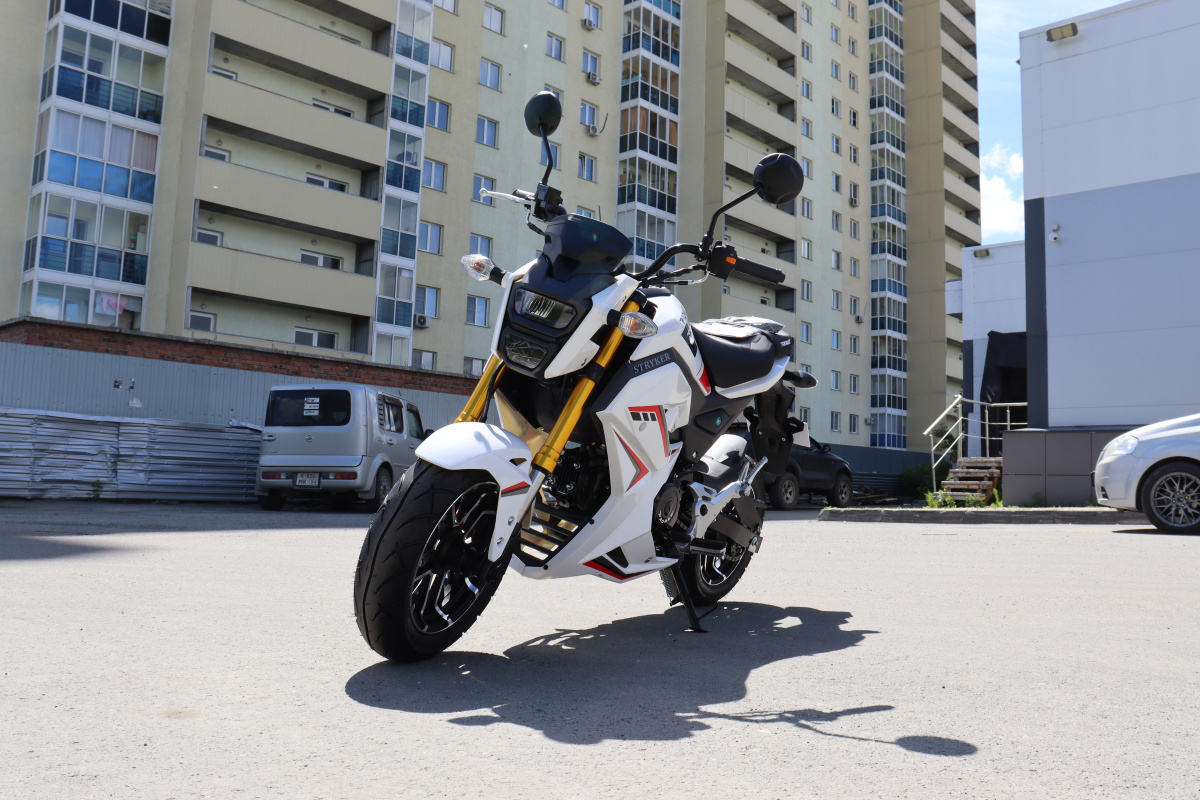 Мотоцикл PROMAX STRYKER 200(49) 2.0 в Грозном