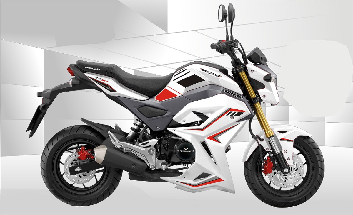 Мотоцикл PROMAX STRYKER 200(49) 2.0 в Грозном