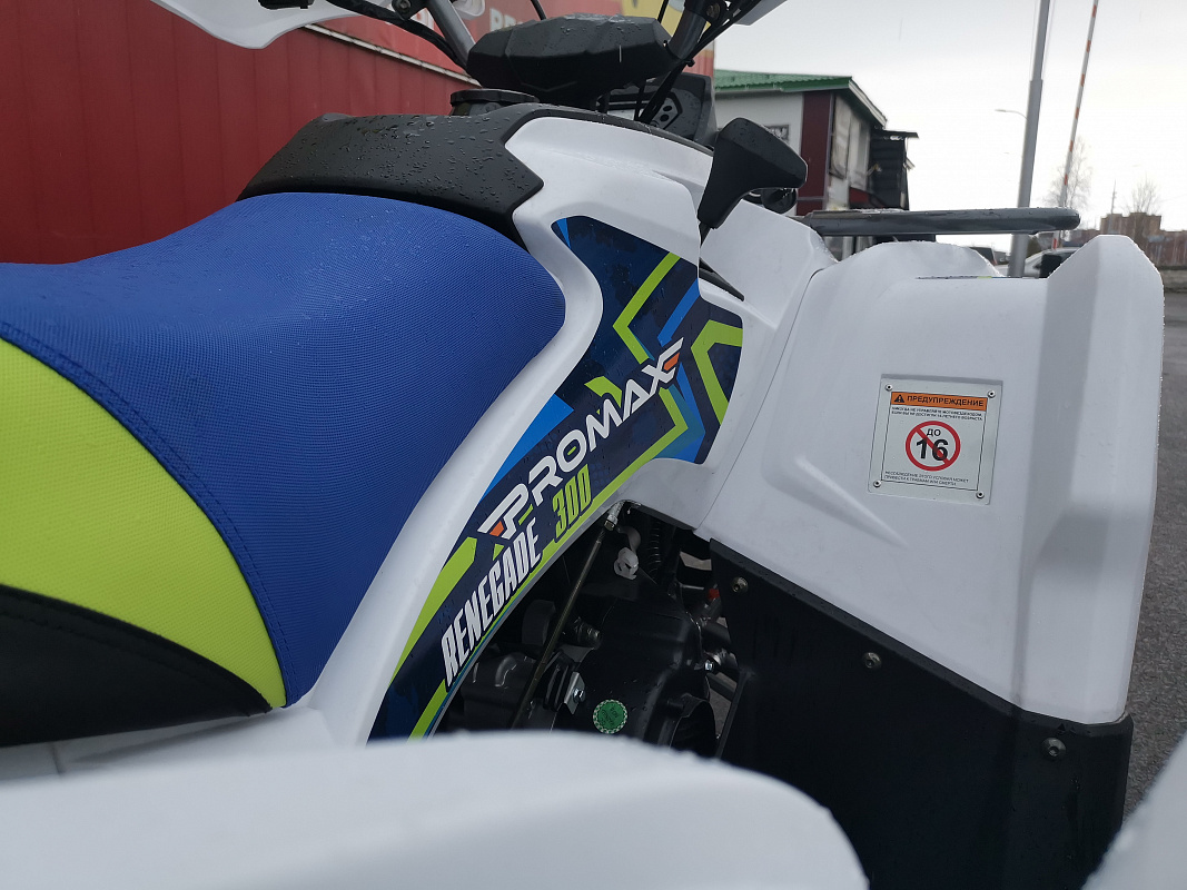 Квадроцикл PROMAX RENEGADE 280 LUX (2025) в Грозном