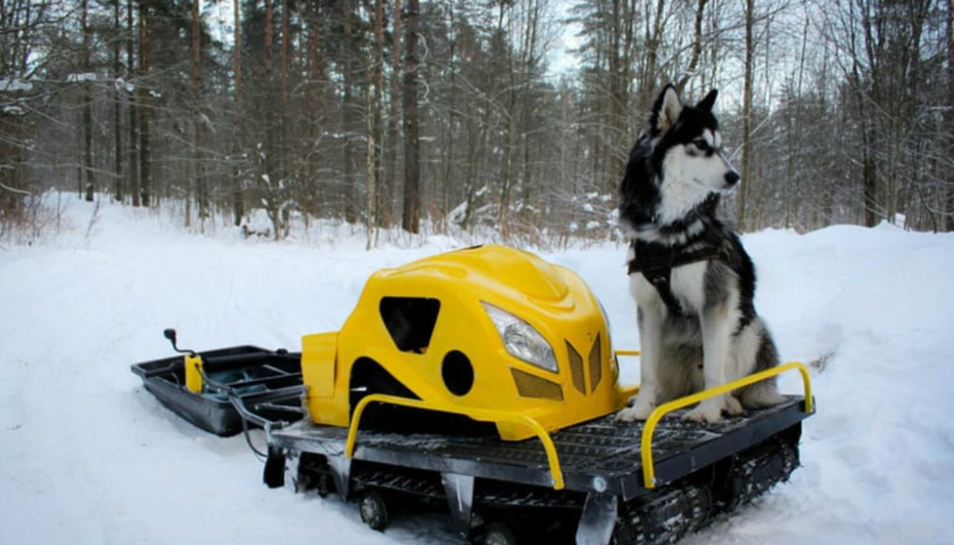 Мотобуксировщик LEBEDEV MOTORS ВОЛКОДАВ POWER V13 в Грозном