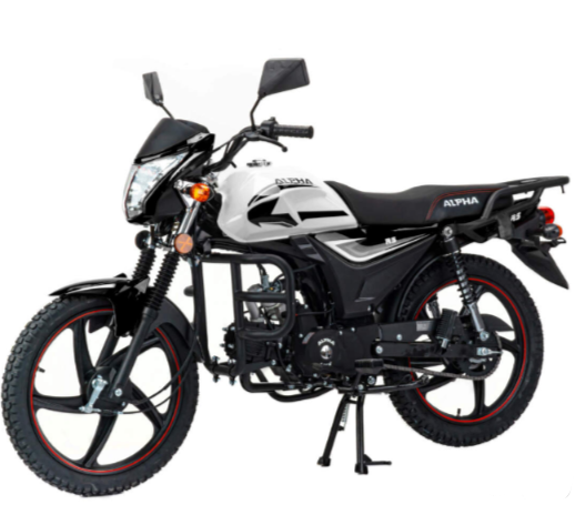 Мопед MOTOLAND (МОТОЛЕНД) Альфа RS 11 (LM48-B) в Грозном