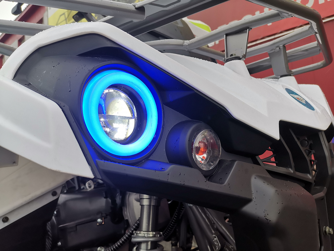 Квадроцикл PROMAX RENEGADE 280 LUX (2025) в Грозном