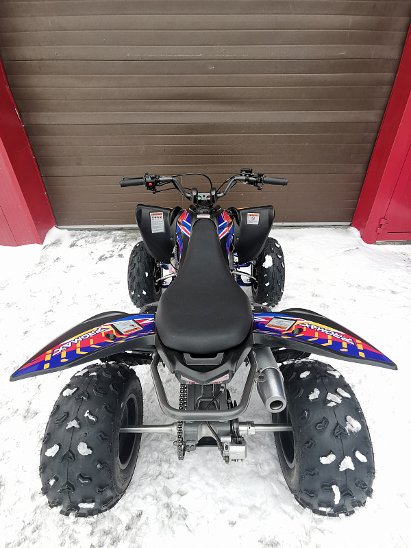 Квадроцикл PROMAX RAPTOR 300 NEW RedBull в Грозном