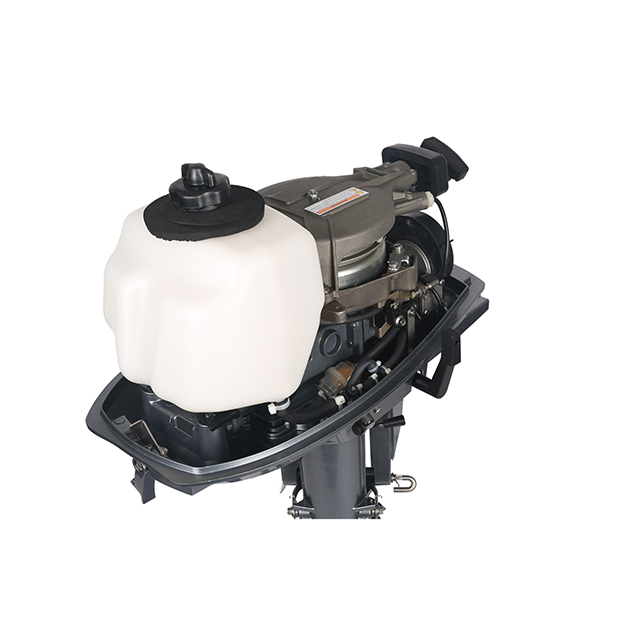 ЛОДОЧНЫЙ МОТОР ALLFA CG T5 в Грозном