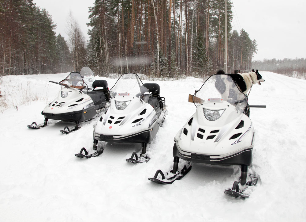 СНЕГОХОД РМ ТАЙГА ВАРЯГ 550 V в Грозном