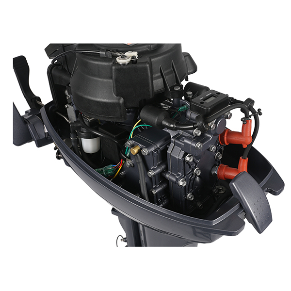 ЛОДОЧНЫЙ МОТОР ALLFA CG Т9,9 Limit в Грозном