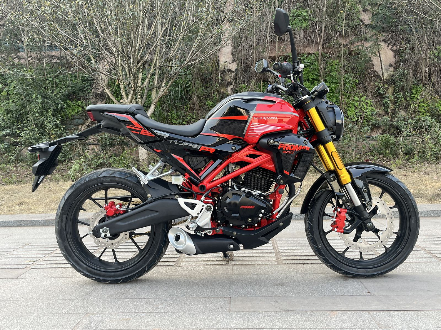 Мотоцикл PROMAX CB300RL (4V, 6G) в Грозном