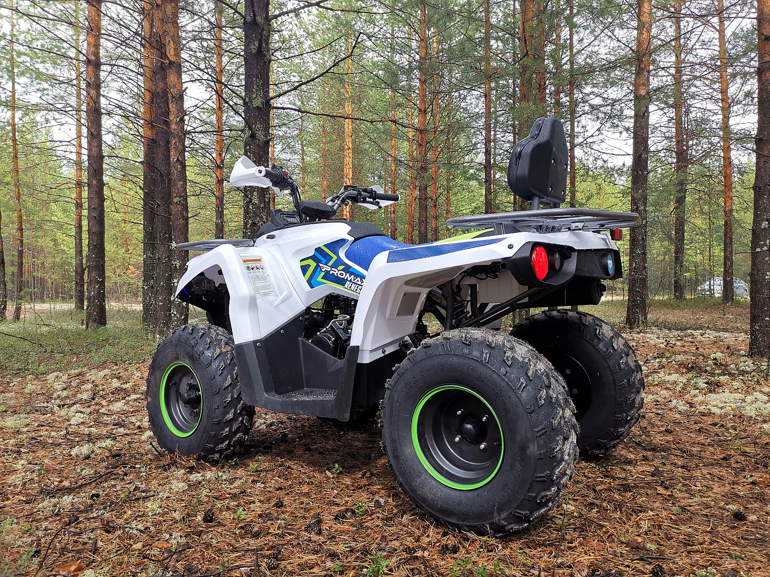Квадроцикл PROMAX RENEGADE 280 (2025) в Грозном