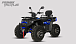 Квадроцикл PROMAX TAURUS 300 MAX-PRO LONG в Грозном