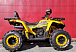 Квадроцикл PROMAX STORM 280 LUX в Грозном