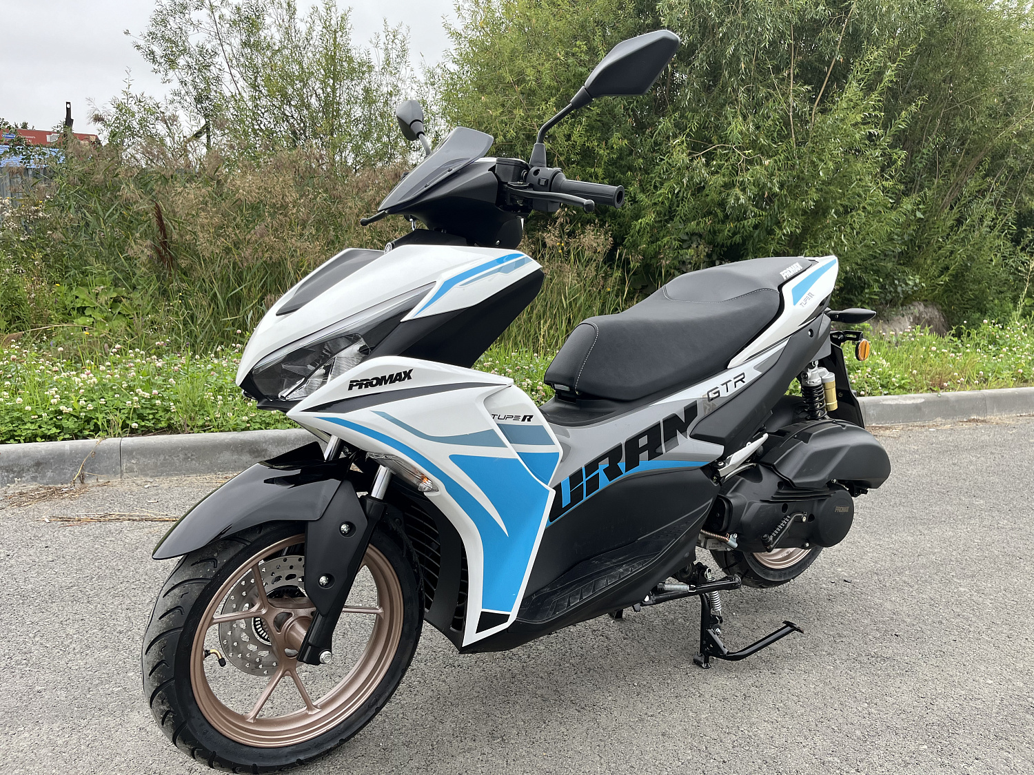 Скутер PROMAX TURAN 250 (49) в Грозном