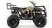 Квадроцикл MOTOLAND (МОТОЛЕНД) 200 ALL ROAD в Грозном