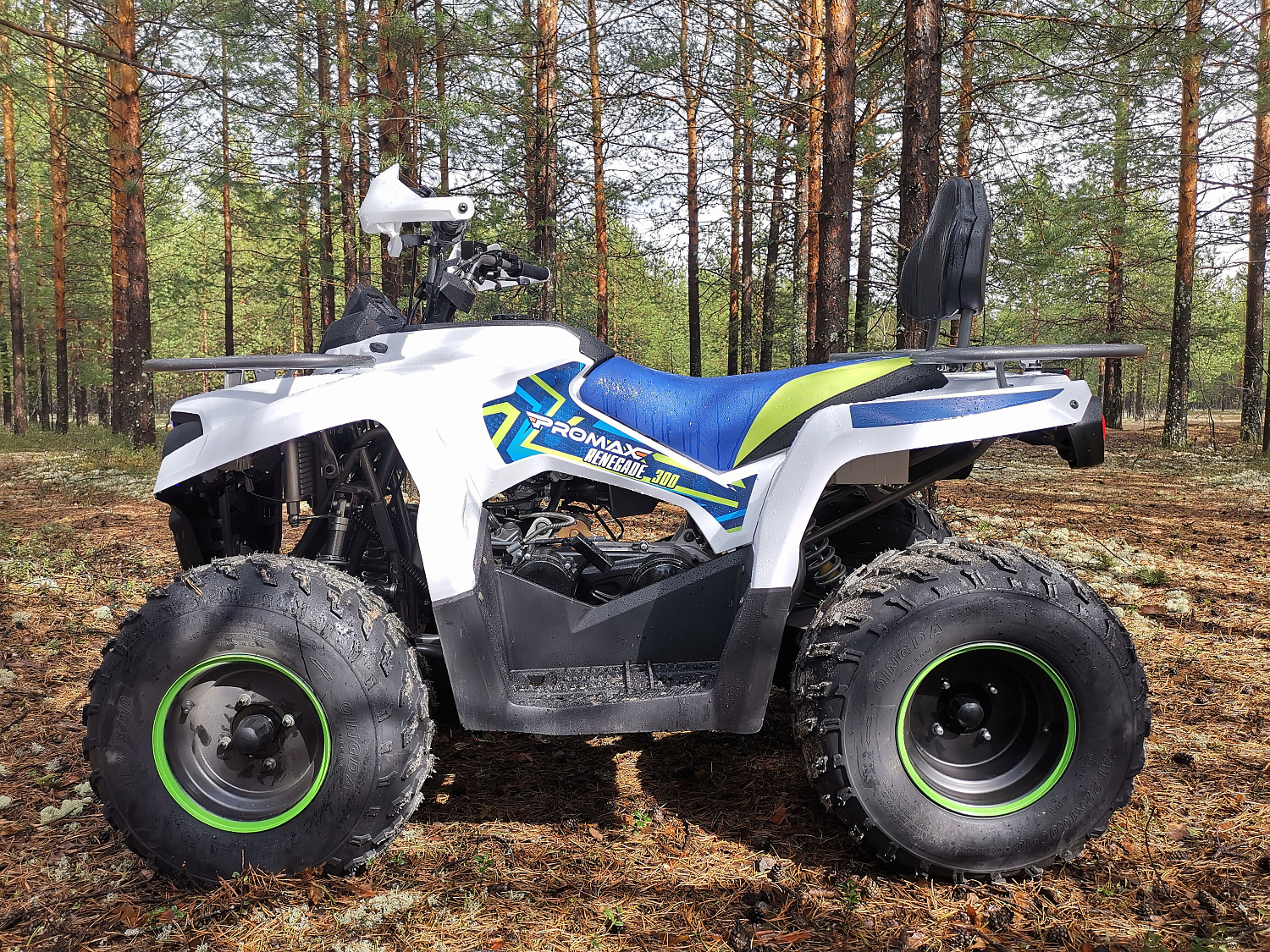 Квадроцикл PROMAX RENEGADE 280 (2025) в Грозном