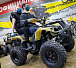 Квадроцикл PROMAX ATV 250 (2025) в Грозном