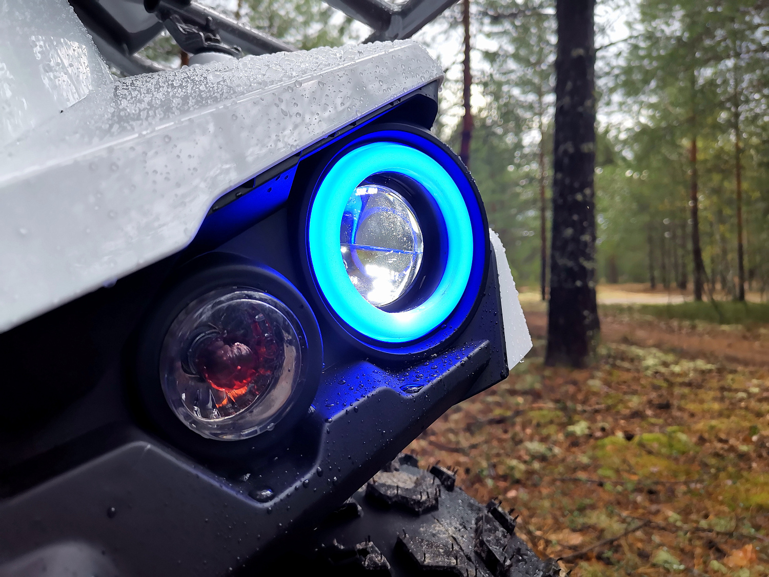 Квадроцикл PROMAX RENEGADE 280 (2025) в Грозном