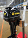 Лодочный мотор STELS 9.9HP в Грозном