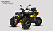 Квадроцикл PROMAX TAURUS 300 MAX-PRO LONG в Грозном